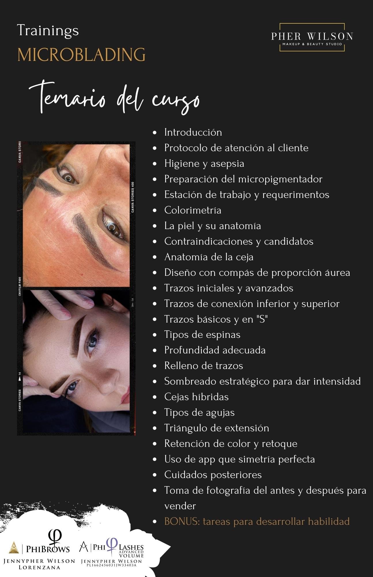 Temario del curso de microblading